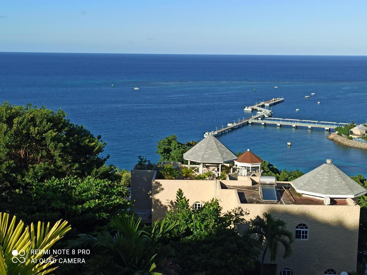 Columbus Heights Apt 26 F Ocho Rios Kültér fotó